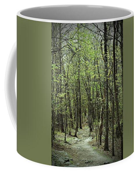 Forest Coffee Mug featuring the photograph The Magic Forest by Roberta Byram