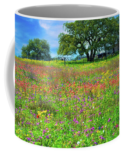 Texas Wildflowers Coffee Mug featuring the photograph The Many Colors of Spring by Lynn Bauer