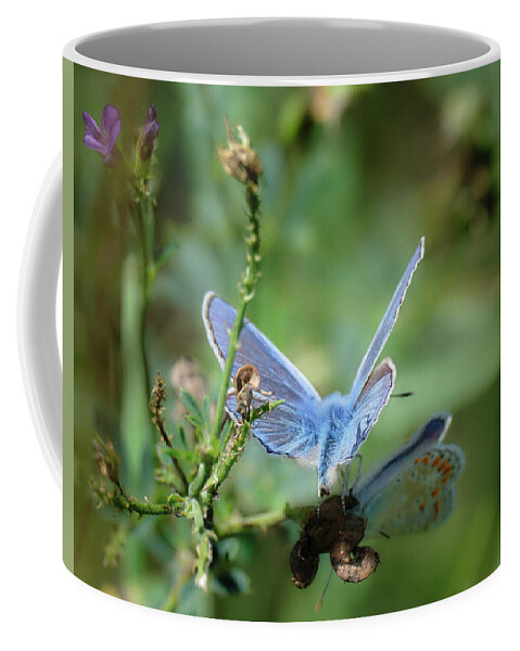 Lac Fauvel Coffee Mug featuring the photograph The Mirrors Butterfly by Carl Marceau