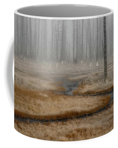 Woods Coffee Mug featuring the photograph The Misty Wood by Kenneth Everett
