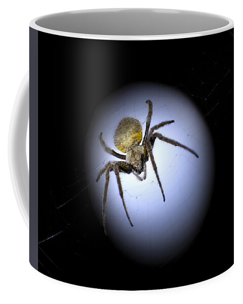 Tropical Orb Weaver Coffee Mug featuring the photograph The Moon Spider by Mark Andrew Thomas