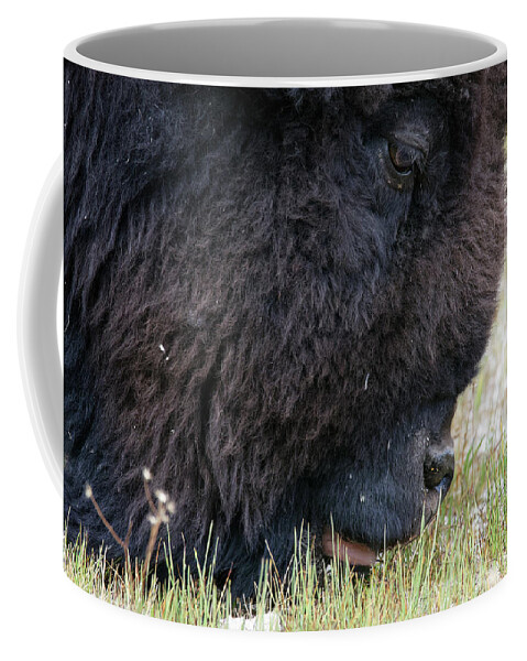 The Mowers Of Yellowstone Coffee Mug featuring the photograph The Mowers of Yellowstone -- American Bison in Yellowstone National Park, Wyoming by Darin Volpe