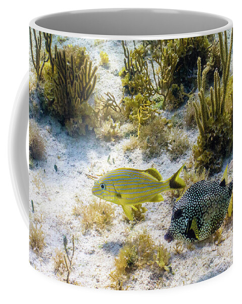 Animals Coffee Mug featuring the photograph The Odd Couple by Lynne Browne