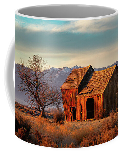 Abandoned Coffee Mug featuring the photograph The Old Barn by Mike Lee