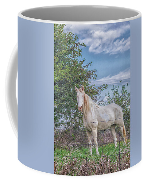 Horse Coffee Mug featuring the photograph The Old Gray Mare - Rural Indiana by Bob Decker