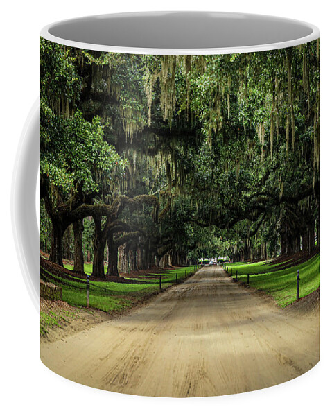 Drive Coffee Mug featuring the photograph The old oaks standing guard by Sand Catcher