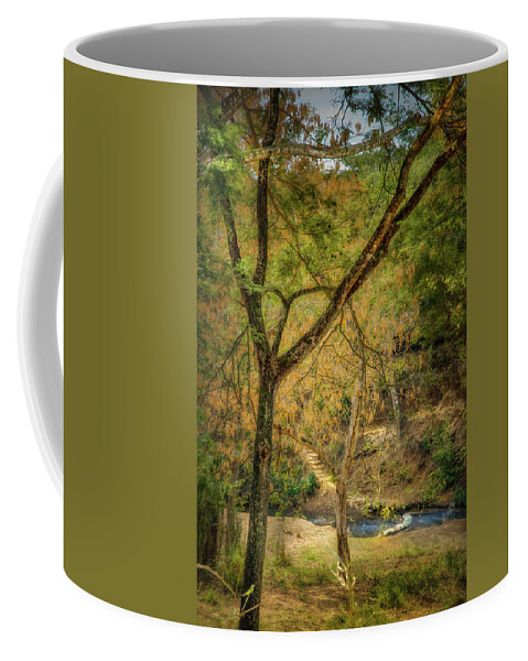 Ford Coffee Mug featuring the photograph The passing on the Mabay river near Veguitas by Micah Offman