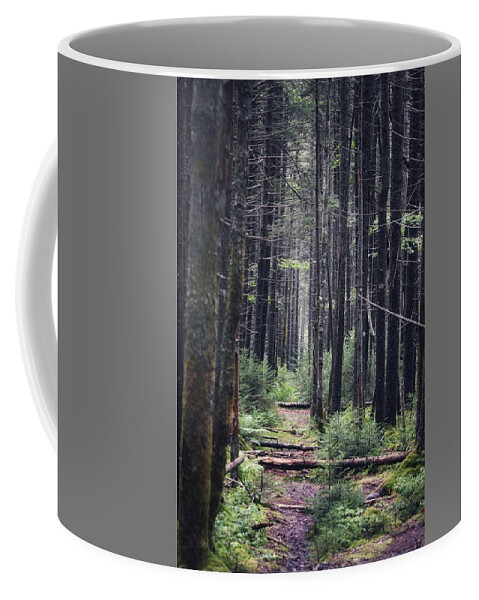 Hiking Coffee Mug featuring the photograph The Path Ahead by Evan Foster