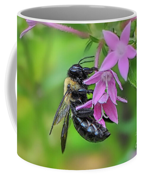 Bees Coffee Mug featuring the photograph The Pollenator by Kathy Baccari