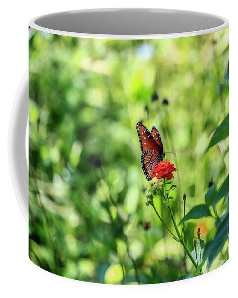 Arboretum Coffee Mug featuring the photograph The Queen on Her Throne by Kathy McClure