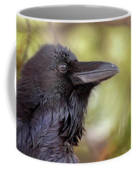 Raven Coffee Mug featuring the photograph The Raven. by Paul Martin