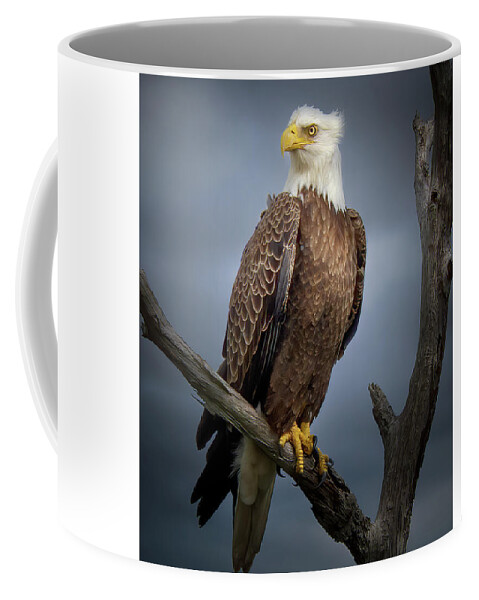 Eagle Coffee Mug featuring the photograph The Regal Eagle by Mark Andrew Thomas