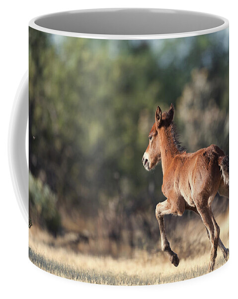 Foal Coffee Mug featuring the photograph The Return by Shannon Hastings