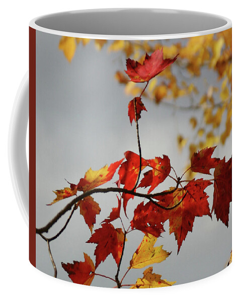 Red Coffee Mug featuring the photograph The Rising by Wayne King