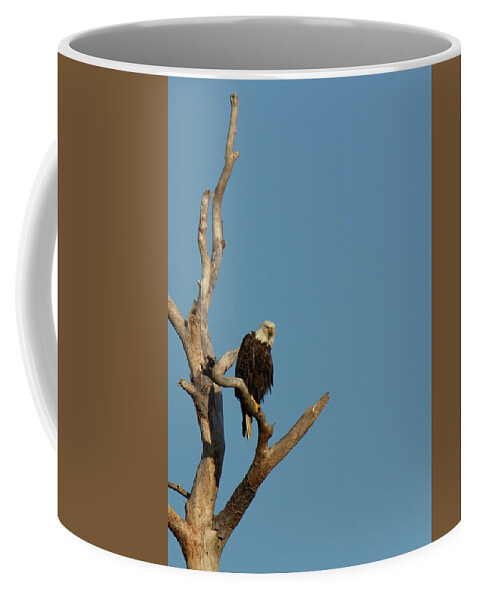 2016 Coffee Mug featuring the photograph The Sentinel by Charles Floyd