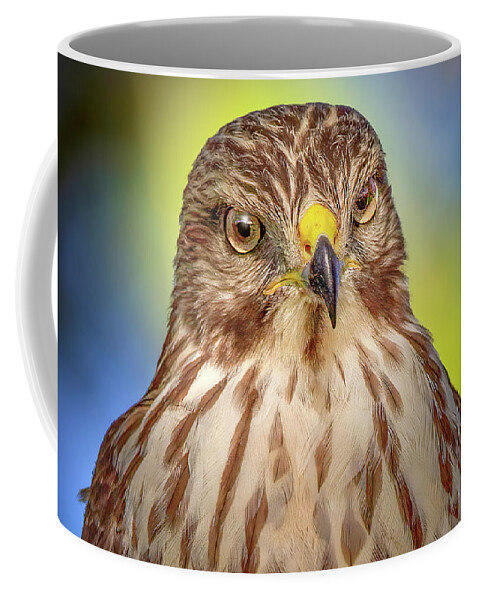 Red Shouldered Hawk Coffee Mug featuring the photograph The Serious Hawk by Mark Andrew Thomas