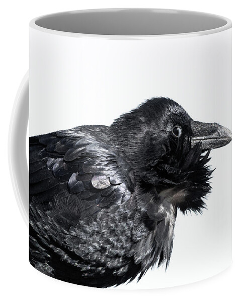 Raven Coffee Mug featuring the photograph The Side Eye by Mary Hone