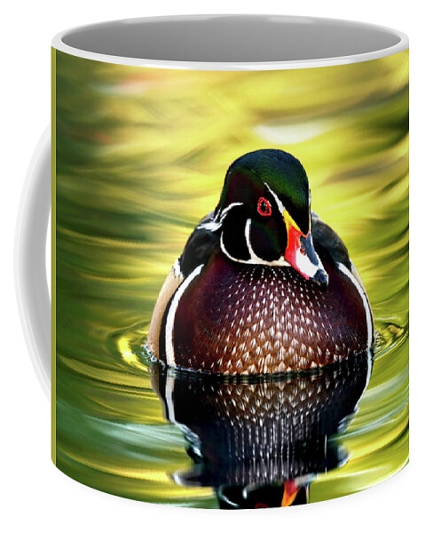 Wood Duck Coffee Mug featuring the photograph The stunning wood duck. by Paul Martin