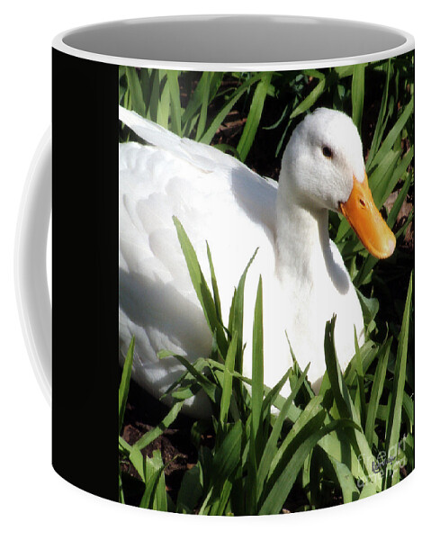 Duck Coffee Mug featuring the photograph The Sunbather by RC DeWinter