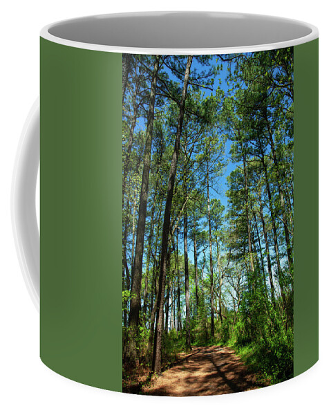 Moments At Roaring Point Coffee Mug featuring the photograph The Trail At Roaring Point by Karol Livote