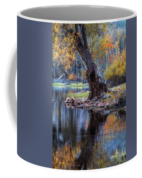 Beach Coffee Mug featuring the photograph The Tree at Lundy Lake by Laura Roberts