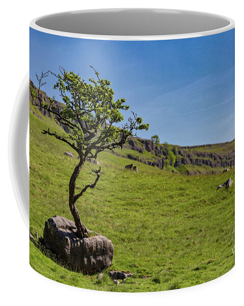 England Coffee Mug featuring the photograph The Tree In The Rock by Tom Holmes Photography
