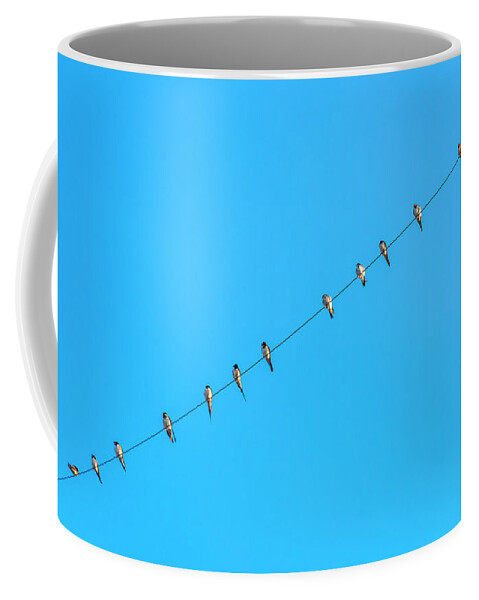 Birds Coffee Mug featuring the photograph The Tweeters by Daniel M Walsh