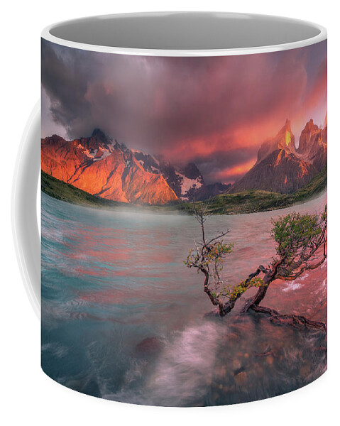 Patagonia Coffee Mug featuring the photograph The Twin Trees #3 by Henry w Liu
