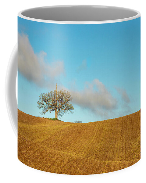 Fields Coffee Mug featuring the photograph The Unicorn Tree by Regina Muscarella