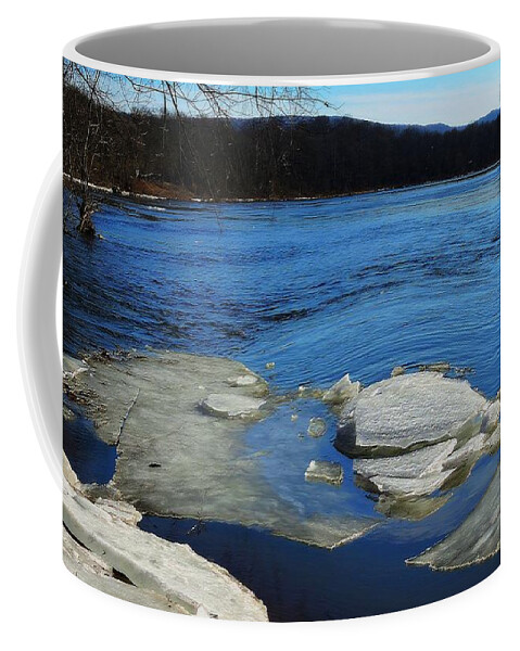 Winter Coffee Mug featuring the photograph The Vanishing Winter by Tami Quigley