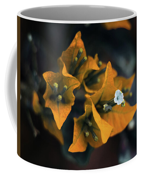 Bougainvillea Art Coffee Mug featuring the photograph The Villea by Gian Smith