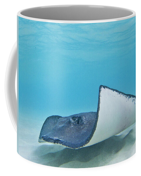 Ocean Coffee Mug featuring the photograph The Wave by Lynne Browne