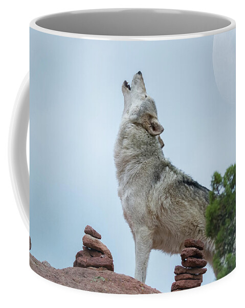 Wolves Rescued Coffee Mug featuring the photograph The Wolf, Ghost by Vicki Stansbury