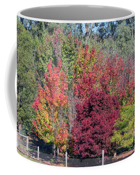 Autumn Coffee Mug featuring the photograph The Wonder of Autumn by Elaine Teague