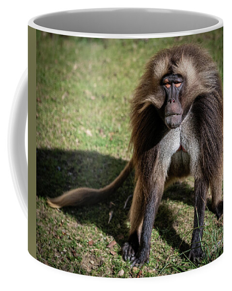 David Levin Photography Coffee Mug featuring the photograph This is How I Look When I'm Happy by David Levin
