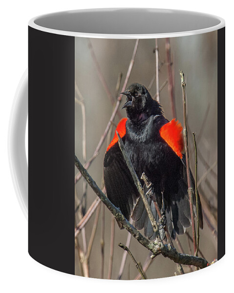 Marsh Coffee Mug featuring the photograph This Is MY Marsh DSB035 by Gerry Gantt