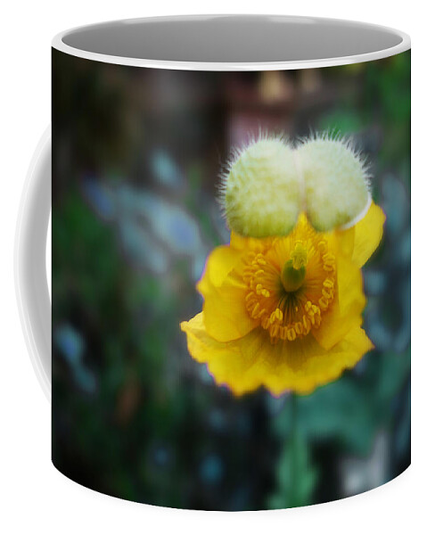 Poppy Coffee Mug featuring the painting This Moment by Charles Stuart