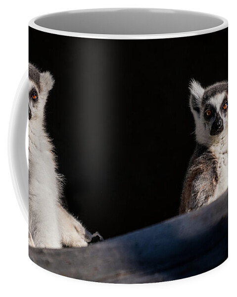 David Levin Photography Coffee Mug featuring the photograph This Spot's for You by David Levin