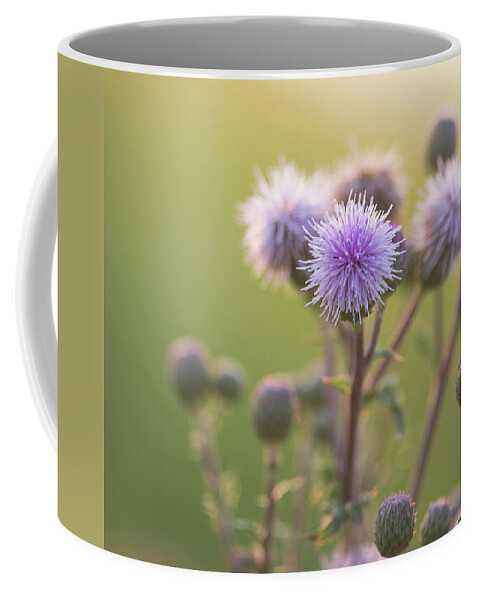 Thistle Coffee Mug featuring the photograph Thistle Flowers by Karen Rispin