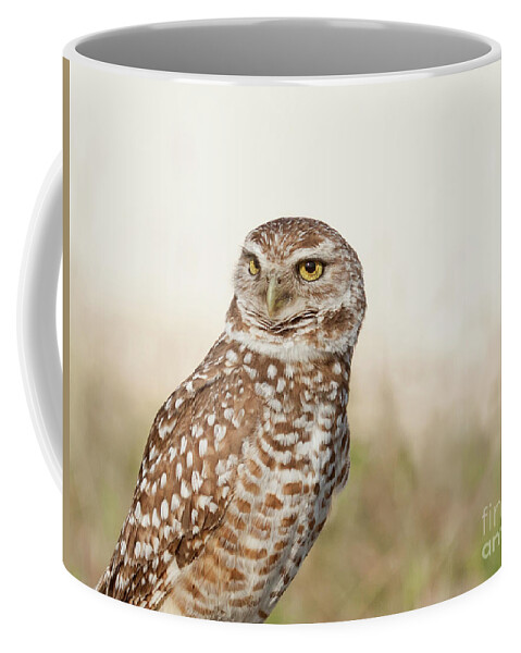 Burrowing Owl Coffee Mug featuring the photograph Those Eyes by Jayne Carney