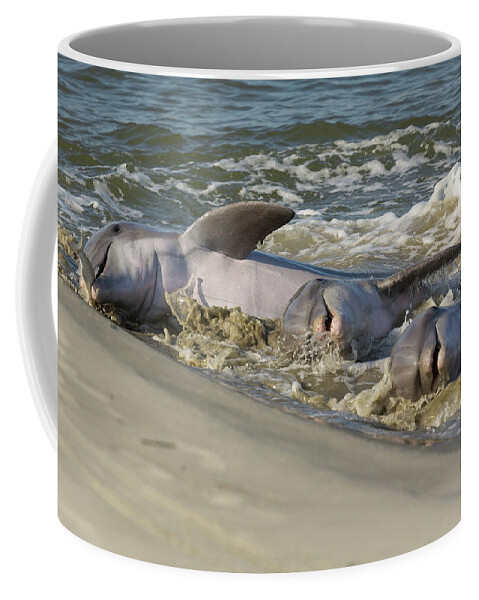 Dolphin Coffee Mug featuring the photograph Three Amigos by Patricia Schaefer