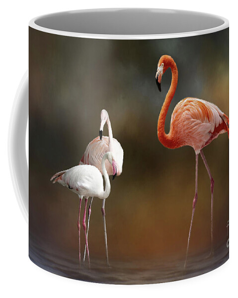 Flamingo Gardens Coffee Mug featuring the photograph Three Flamingos by Ed Taylor