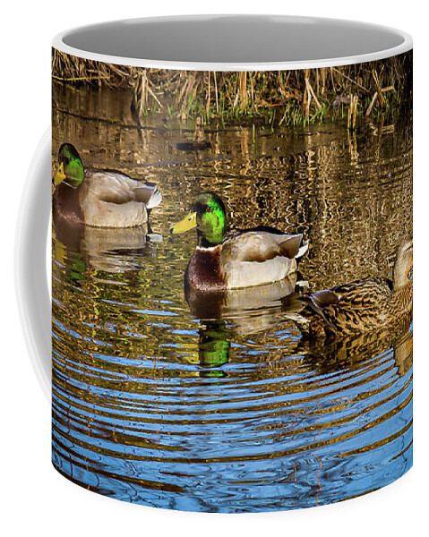 Birds Coffee Mug featuring the photograph Three Mallard ducks chilling out by Louis Dallara
