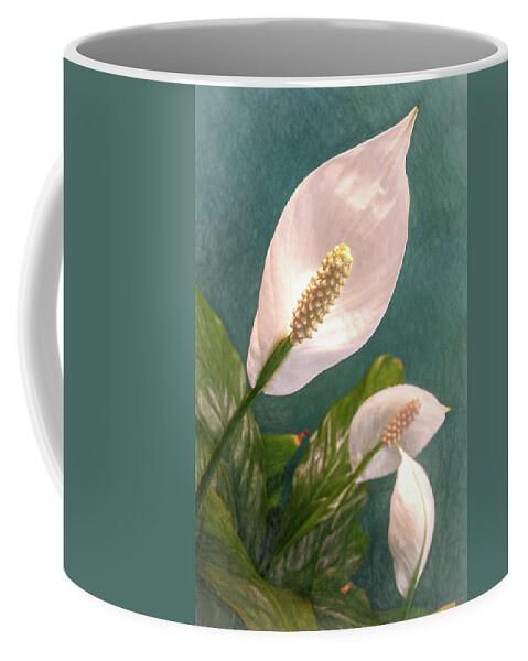 Lilies Coffee Mug featuring the photograph Three Peace Lily Flower Blooms by Tom Mc Nemar