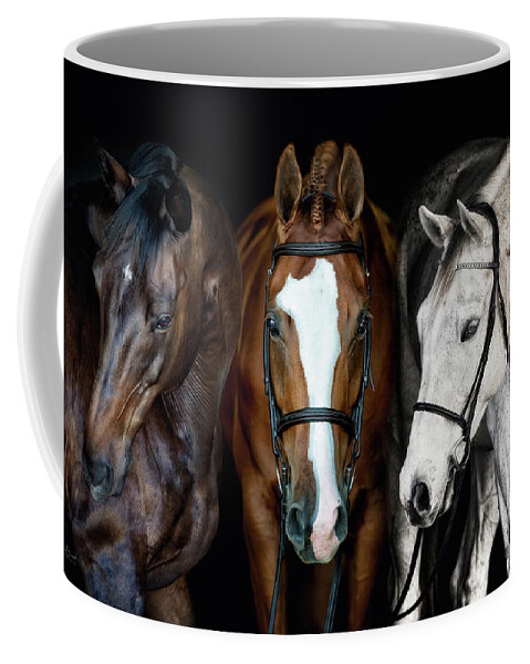 Warmblood Coffee Mug featuring the photograph Three by Phyllis Burchett