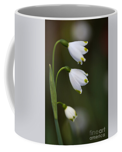 Snowdrop Flowers Coffee Mug featuring the photograph Three Snowdrop Flowers by Joy Watson