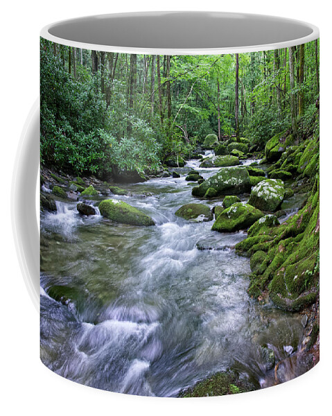 Smoky Mountains Coffee Mug featuring the photograph Thunderhead Prong 15 by Phil Perkins