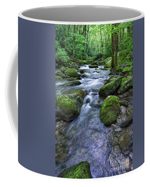 Smoky Mountains Coffee Mug featuring the photograph Thunderhead Prong 17 by Phil Perkins