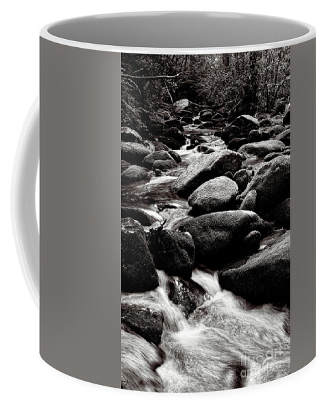 Smoky Mountains Coffee Mug featuring the photograph Thunderhead Prong 24 by Phil Perkins