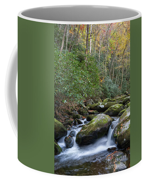 Smoky Mountains Coffee Mug featuring the photograph Thunderhead Prong 27 by Phil Perkins